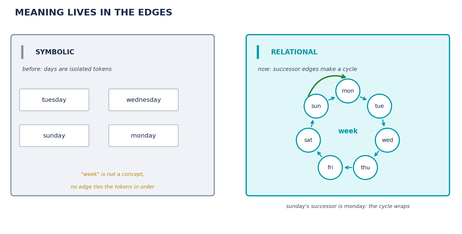 Before, the days are isolated symbols and “week” is not a concept the brain can hold. After, a single learned relation — successor — ties them into a cycle, and the meaning of a day becomes its place in that ring. The green edge is the proof the cycle wraps: sunday’s successor is monday.