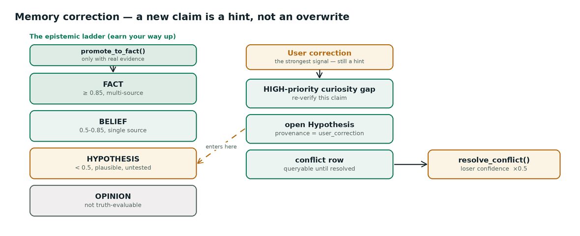 Diagram &ldquo;Memory correction &mdash; a new claim is a hint, not an overwrite&rdquo;: the epistemic ladder from opinion through hypothesis and belief to fact, and the path a user correction takes into a high-priority curiosity gap and a conflict row to be resolved.